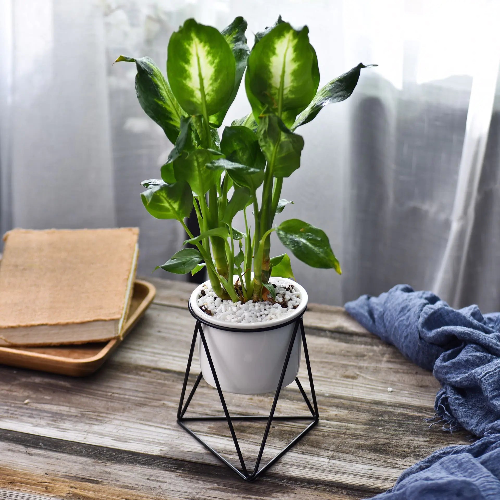 Nordic Triangle Ceramic Planter with Iron Stand Set