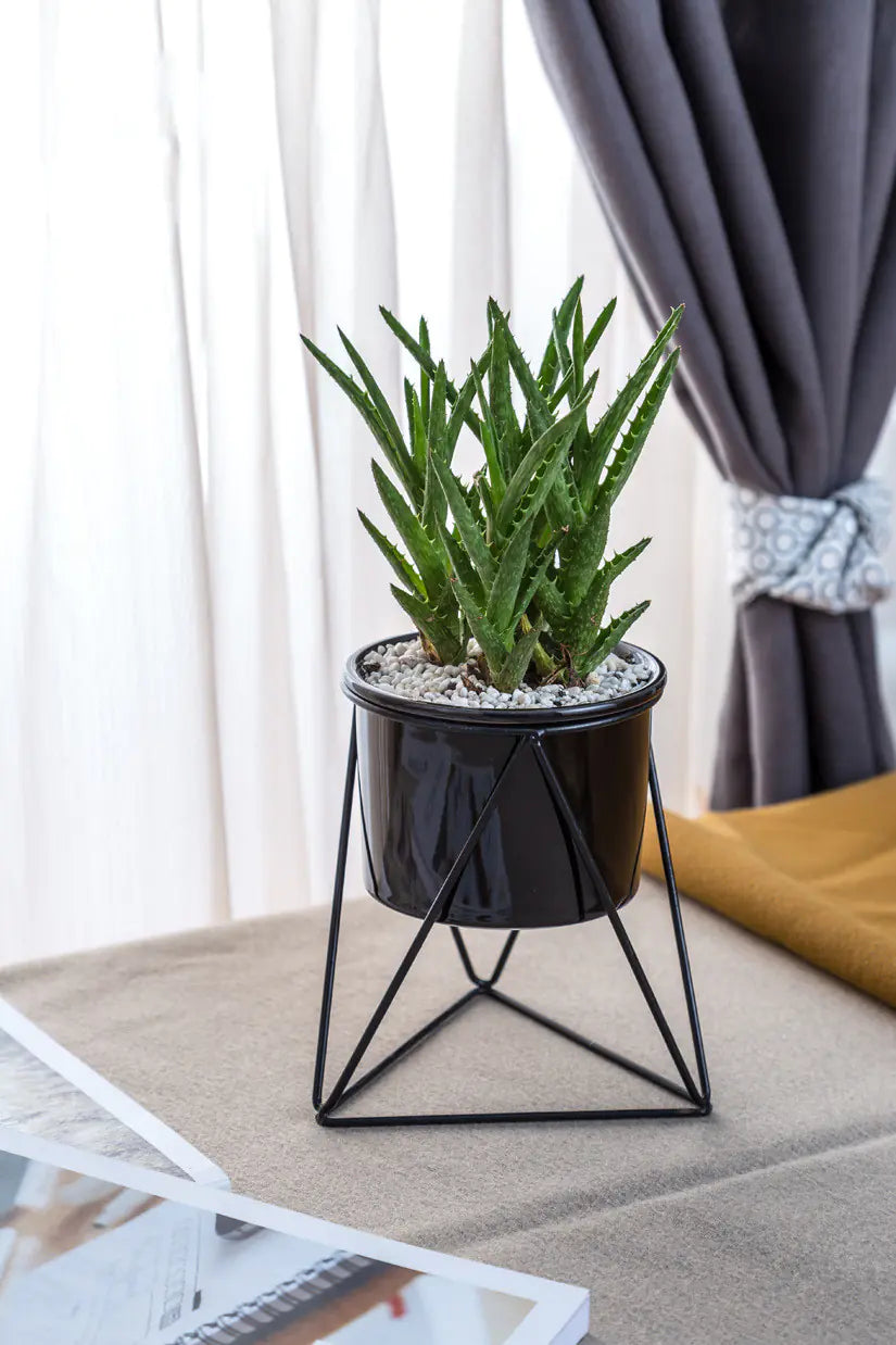 Nordic Triangle Ceramic Planter with Iron Stand Set
