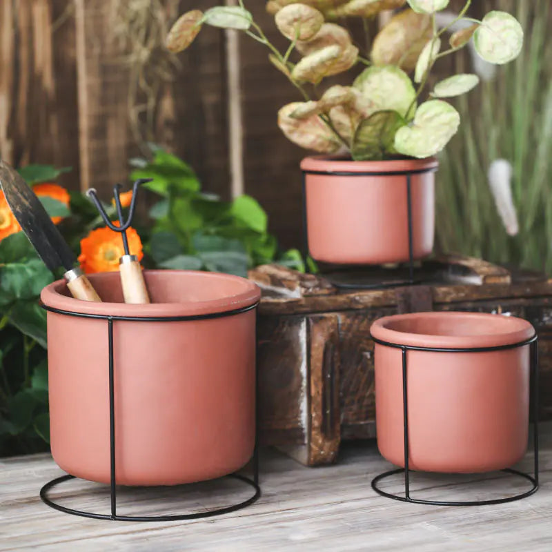 Elegant Iron Succulent Holder