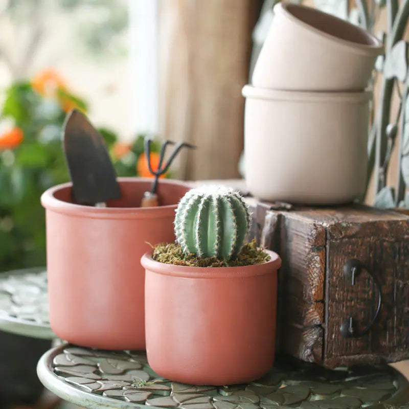 Elegant Iron Succulent Holder