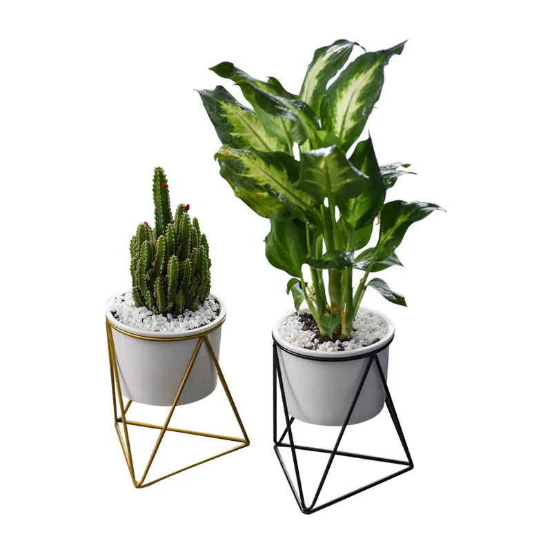 Nordic Triangle Ceramic Planter with Iron Stand Set